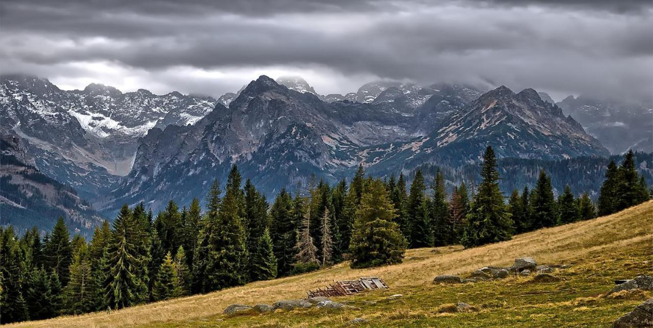 Tatry Fimali Daire Tatranská Lomnica Dış mekan fotoğraf