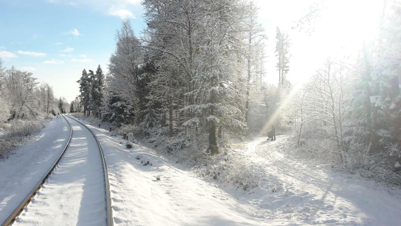 Tatry Fimali Daire Tatranská Lomnica Dış mekan fotoğraf
